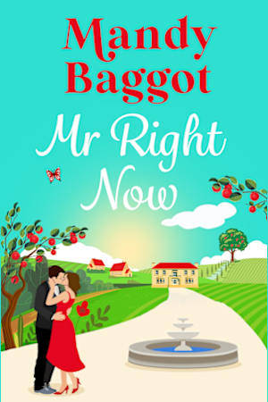 Mr Right Now