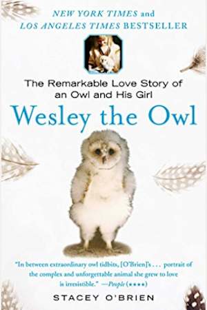 Wesley the Owl